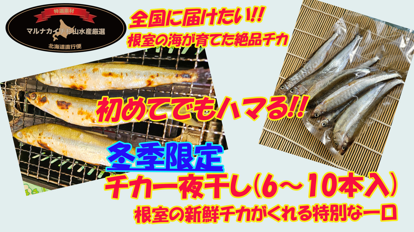 【冬季限定】チカ一夜干し(大)【限定生産】