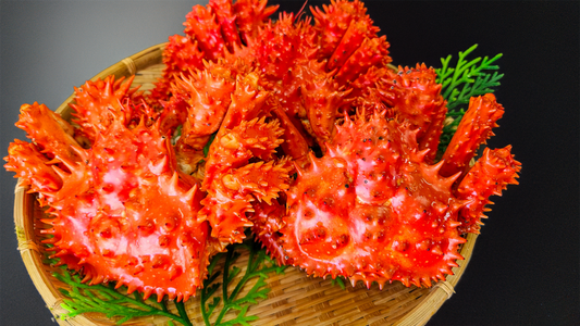 【限定】ボイル冷凍 花咲ガニ3尾入