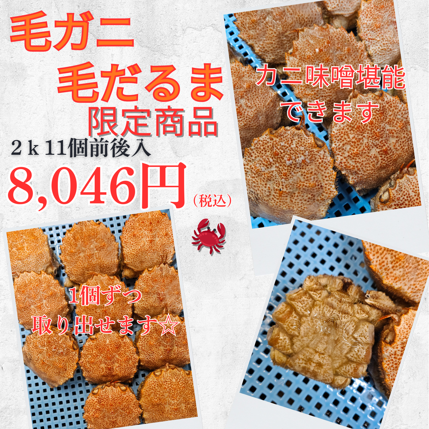 【激レア商品】毛ガニの毛だるま(2kg11個前後入)セット（小サイズ）