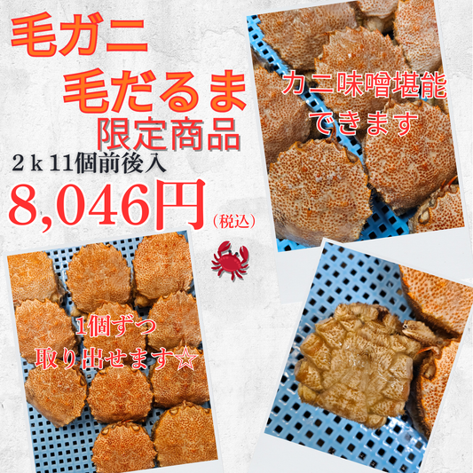 【激レア商品】毛ガニの毛だるま(2kg11個前後入)セット（小サイズ）