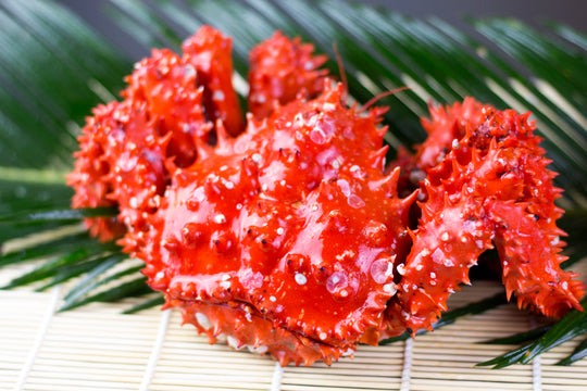 ボイル冷凍花咲蟹姿 1.1kg前後